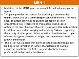 Men1 Function Adrenal Neoplasia and MEN Syndrome | PPTX