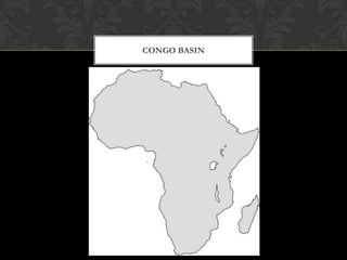 CONGO BASIN
 