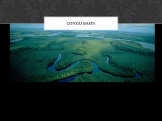 CONGO BASIN
 