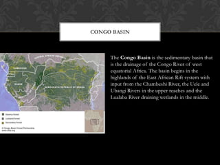 CONGO BASIN



     The Congo Basin is the sedimentary basin that
     is the drainage of the Congo River of west
     equatorial Africa. The basin begins in the
     highlands of the East African Rift system with
     input from the Chambeshi River, the Uele and
     Ubangi Rivers in the upper reaches and the
     Lualaba River draining wetlands in the middle.
 