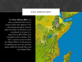 EAST AFRICAN RIFT


       The East African Rift is an
     active continental rift zone in
 eastern Africa that appears to be
   a developing divergent tectonic
 plate boundary. In the past it was
         considered to be part of a
      larger Great Rift Valley that
   extended north to Turkey. The
     rift is a narrow zone in which
the African Plate is in the process
of splitting into two new tectonic
plates called the Somali Plate and
                   the Nubian Plate.
 