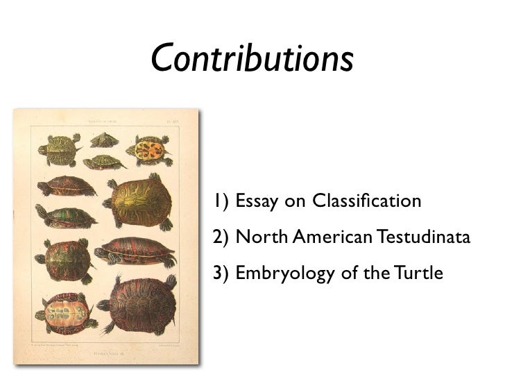 American Museum Of Natural History Rules American Museum Of Natural History Rules