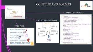 CONTENT AND FORMAT
TABLE OF CONTENTS
TITLE PAGE
EXECUTIVE SUMMARY
 