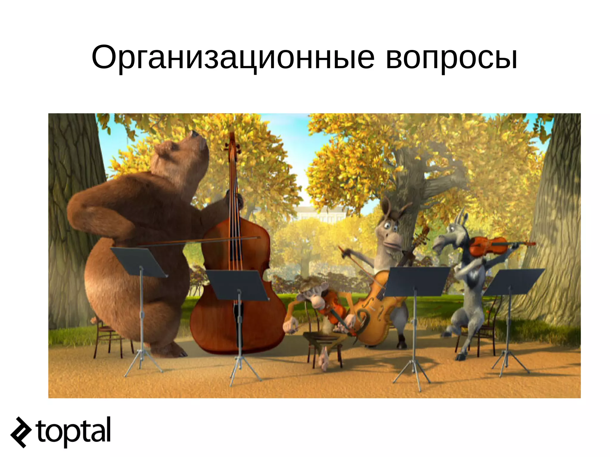 Организационные вопросы
 