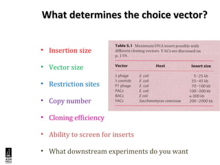 What determines the choice vector?What determines the choice vector?
• Insertion size
• Vector size
• Restriction sites
• Copy number
• Cloning efficiency
• Ability to screen for inserts
• What downstream experiments do you want
 