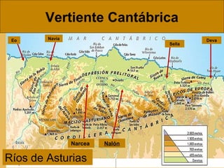 Vertiente Cantábrica
Ríos de Asturias
Sella
Deva
Narcea
NaviaEo
Nalón
 