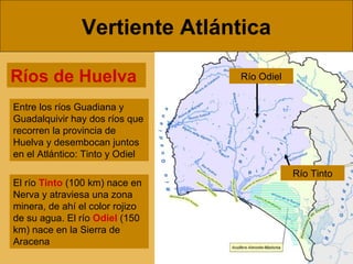 Vertiente Atlántica
Entre los ríos Guadiana y
Guadalquivir hay dos ríos que
recorren la provincia de
Huelva y desembocan juntos
en el Atlántico: Tinto y Odiel
Ríos de Huelva
El río Tinto (100 km) nace en
Nerva y atraviesa una zona
minera, de ahí el color rojizo
de su agua. El río Odiel (150
km) nace en la Sierra de
Aracena
Río Odiel
Río Tinto
 