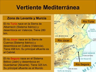 Vertiente Mediterránea
El río Júcar nace en la Sierra de
Cuenca (Sistema Ibérico) y
desemboca en Cullera (Valencia).
Tiene 498 km. Su principal afluente es
el Cabriel.
El río Segura nace en el Sistema
Bético (Jaén) y desemboca en
Guardamar (Alicante). Tiene 325 km.
Su principal afluente es el Mundo
Río Júcar
Río Segura
El río Turia nace en la Sierra de
Albarracín (Sistema Ibérico) y
desemboca en Valencia. Tiene 280
km.
Río Turia
Zona de Levante y Murcia
 