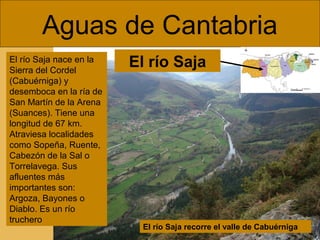 Aguas de Cantabria
El río Saja recorre el valle de Cabuérniga
El río Saja nace en la
Sierra del Cordel
(Cabuérniga) y
desemboca en la ría de
San Martín de la Arena
(Suances). Tiene una
longitud de 67 km.
Atraviesa localidades
como Sopeña, Ruente,
Cabezón de la Sal o
Torrelavega. Sus
afluentes más
importantes son:
Argoza, Bayones o
Diablo. Es un río
truchero
El río Saja
 