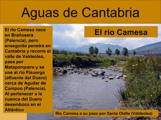 Aguas de Cantabria
Río Camesa a su paso por Santa Olalla (Valdeolea)
El río Camesa nace
en Brañosera
(Palencia), pero
enseguida penetra en
Cantabria y recorre el
valle de Valdeolea,
pasa por
Mataporquera y se
une al río Pisuerga
(afluente del Duero)
cerca de Aguilar de
Campoo (Palencia).
Al pertenecer a la
cuenca del Duero
desemboca en el
Atlántico
El río Camesa
 