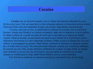 Cocaina Cocaina  este un alcaloid tropanic, care se obţine din frunzele arbustului de coca (Eritroxylon coca). Este un stupefiant cu efect stimulant puternic al sistemului nervos central, fiind unul dintre cele mai răspândite droguri care produc dependenţa consumatorului. Cocaina, care este un eter, se transformă în carbonat de cocaină, care se dizolvă în kerosen. Soluţia este filtrată şi se elimină reziduurile, după care se amestecă cu acid sulfuric. Se obţine sulfatul de cocaină sau pasta de bază care se precipită şi se depune pe fundul vasului. Odată prelucrată, această pastă este pusă la uscat înainte de a fi purificată, pentru eliminarea kerosenului şi a altor impurităţi reziduale. Pentru aceasta se adaugă din nou acid sulfuric şi permanganat de potasiu. După filtrare, produsul se amestecă cu amoniac, înainte de a fi iarăşi filtrat şi uscat. Din pasta purificată obţinută, cocaina este izolată prin adăugare de acetonă sau eter etilic, pentru distilarea sulfatului de cocaină. În etapa finală, se adaugă acid clorhidric   şi alcool care duc la formarea unui precipitat de clorhidrat de cocaină. Aceasta se cristalizează în timp, luând forma finală în care se comercializează Este folosita in medicina ca anestezic puternic,in concentratii mari devine drog. 