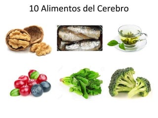 10 Alimentos del Cerebro
 