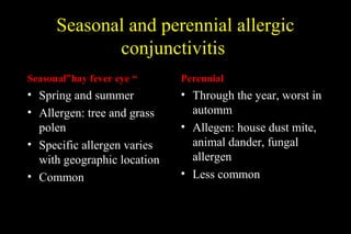 Seasonal and perennial allergic
conjunctivitis
Seasonal”hay fever eye “
• Spring and summer
• Allergen: tree and grass
polen
• Specific allergen varies
with geographic location
• Common
Perennial
• Through the year, worst in
automm
• Allegen: house dust mite,
animal dander, fungal
allergen
• Less common
 