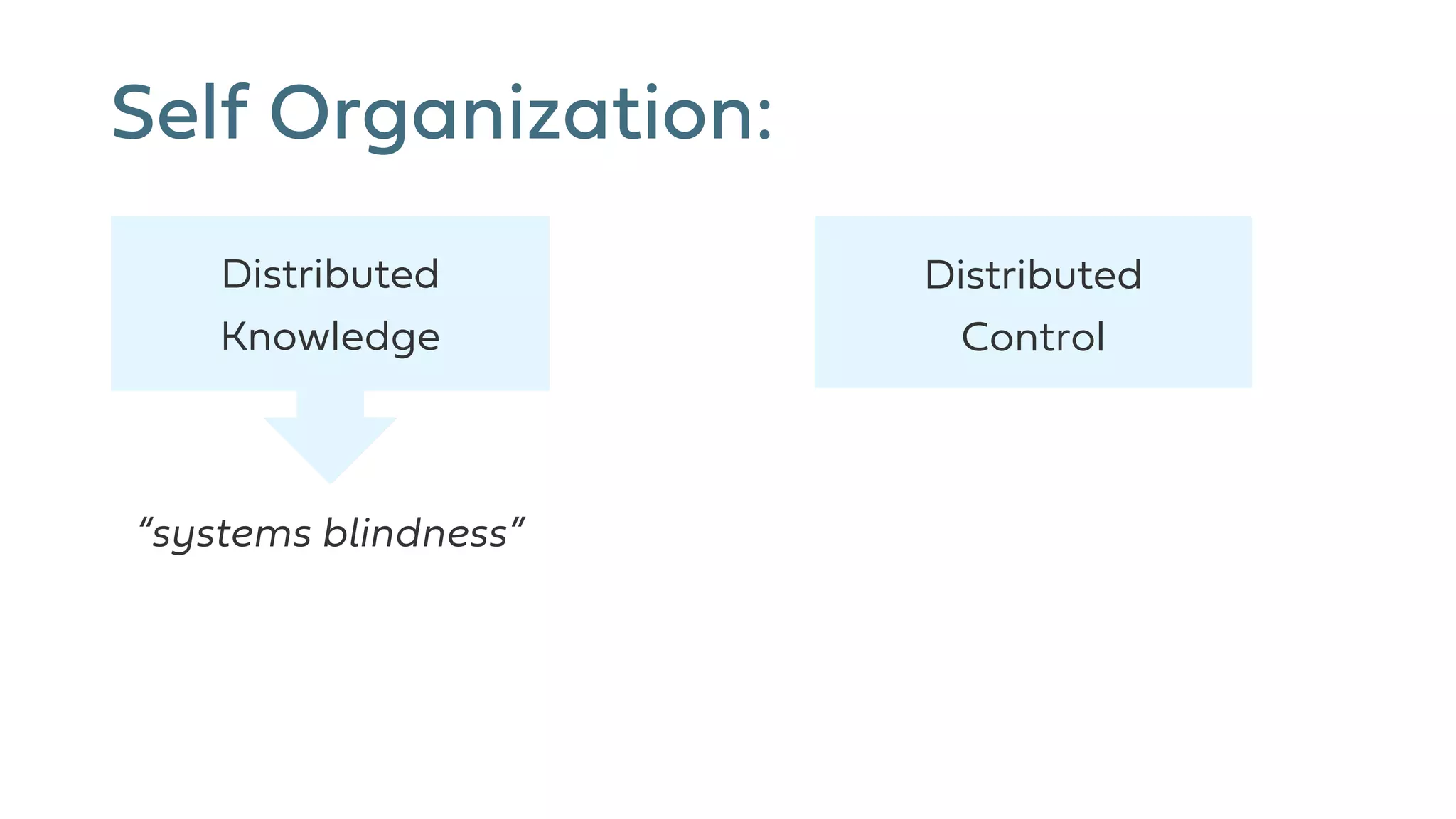 Self Organization:
“systems blindness”
Distributed
Knowledge
Distributed
Control
 