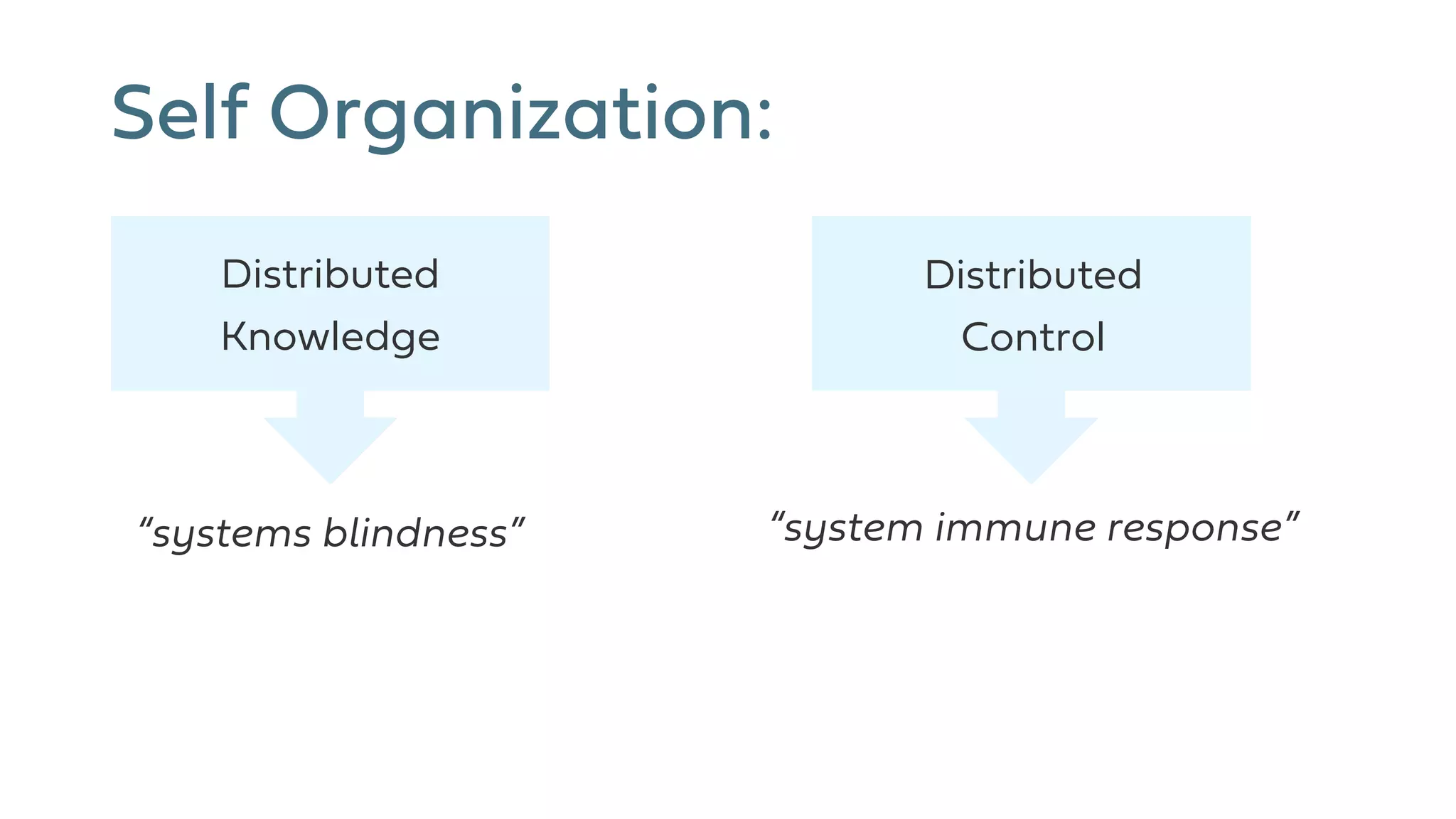 Self Organization:
“system immune response”“systems blindness”
Distributed
Knowledge
Distributed
Control
 