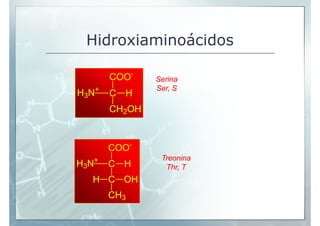 Hidroxiaminoácidos

           COO-    Serina
                   Ser, S
H3N+       C H
           CH2OH



           COO-...