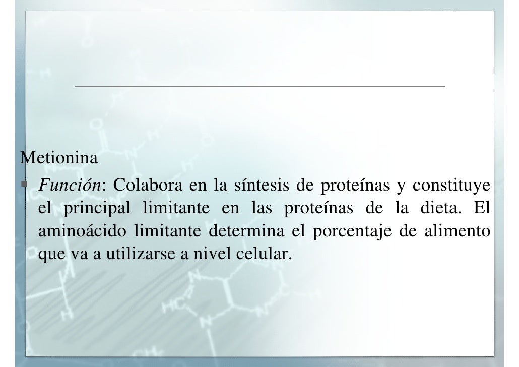 Funcion De La Metionina