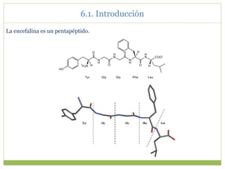 10 Aminoácidos, péptidos y proteínas (1).ppt
