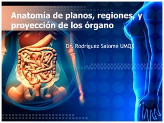 Anatomía de planos, regiones, y
proyección de los órgano
1
Dr. Rodríguez Salomé UMQX
 