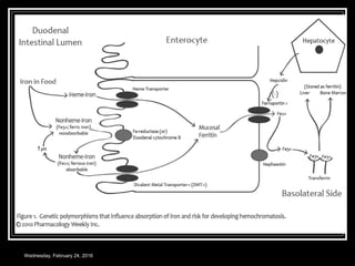 Wednesday, February 24, 2016
 