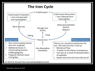 Wednesday, February 24, 2016
 