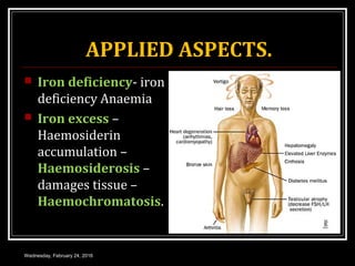 APPLIED ASPECTS.
 Iron deficiency- iron
deficiency Anaemia
 Iron excess –
Haemosiderin
accumulation –
Haemosiderosis –
damages tissue –
Haemochromatosis.
Wednesday, February 24, 2016
 