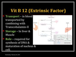 Vit B 12 (Extrinsic Factor)
 Transport – in blood
transported by
combining with
Transcobalamin-II
 Storage – In liver &
Muscle
 Role – required for
synthesis of DNA &
maturation of nucleus &
cell.
Wednesday, February 24, 2016
 