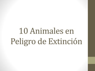 10 Animales en
Peligro de Extinción
 