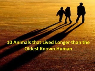 10 Animals that Lived Longer than the
       Oldest Known Human
 