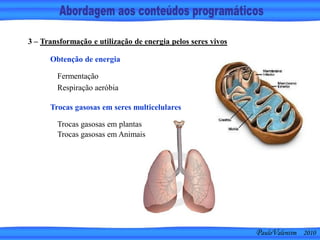 PauloValentim 2010
3 – Transformação e utilização de energia pelos seres vivos
Fermentação
Respiração aeróbia
Obtenção de energia
Trocas gasosas em plantas
Trocas gasosas em Animais
Trocas gasosas em seres multicelulares
 