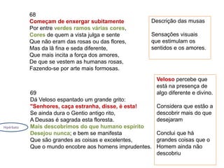 68
Começam de enxergar subitamente
Por entre verdes ramos várias cores,
Cores de quem a vista julga e sente
Que não eram das rosas ou das flores,
Mas da lã fina e seda diferente,
Que mais incita a força dos amores,
De que se vestem as humanas rosas,
Fazendo-se por arte mais formosas.
69
Dá Veloso espantado um grande grito:
"Senhores, caça estranha, disse, é esta!
Se ainda dura o Gentio antigo rito,
A Deusas é sagrada esta floresta.
Mais descobrimos do que humano espírito
Desejou nunca; e bem se manifesta
Que são grandes as coisas e excelentes,
Que o mundo encobre aos homens imprudentes.
Descrição das musas
Sensações visuais
que estimulam os
sentidos e os amores.
Veloso percebe que
está na presença de
algo diferente e divino.
Considera que estão a
descobrir mais do que
desejaram
Conclui que há
grandes coisas que o
Homem ainda não
descobriu
Hipérbato
 