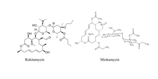 Rokitamycin Miokamycin
 