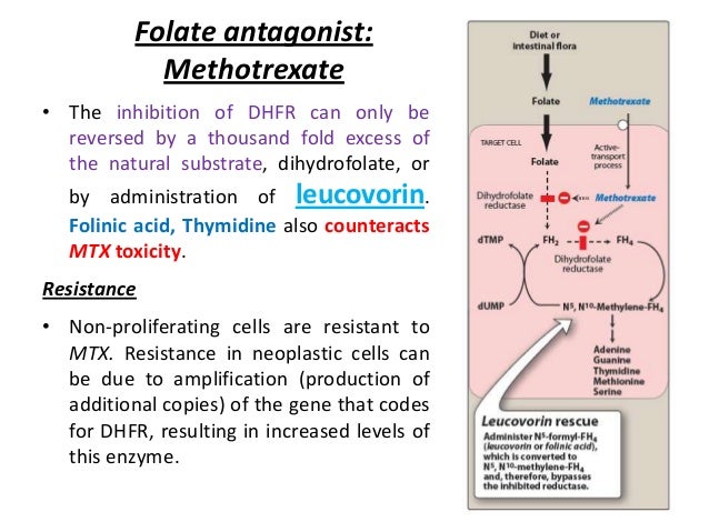 methotrexate mechanism of action