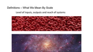 Definitions – What We Mean By Scale
Level of inputs, outputs and reach of systems

 