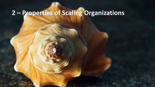 2 – Properties of Scaling Organizations

 