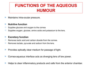 Ophthalmology presentation in aqueous humor dynamics.pptx