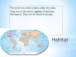 The Arctic fox Lives in dens under the snow.
They live in the Arctic regions of Northern
Hemispere. They can be found in Europe.
 