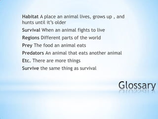 Habitat A place an animal lives, grows up , and
hunts until it’s older
Survival When an animal fights to live
Regions Different parts of the world
Prey The food an animal eats
Predators An animal that eats another animal
Etc. There are more things
Survive the same thing as survival
 