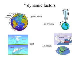 * dynamic factors
global winds
air pressure

front

Jet stream

 