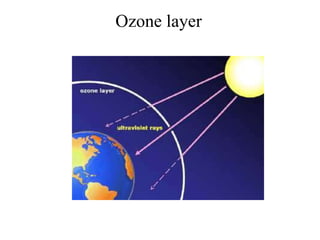 Ozone layer

 