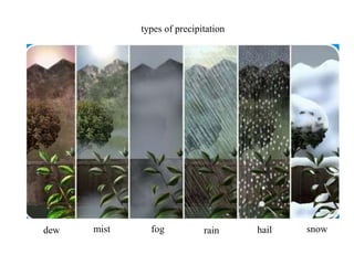types of precipitation

dew

mist

fog

rain

hail

snow

 