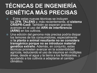 TÉCNICAS DE INGENIERÍA
GENÉTICA MÁS PRECISAS
 . Entre estas nuevas técnicas se incluyen
las ZFN, TALENS y, más recientemente, el sistema
CRISPR-Cas9. También se esperan grandes
avances en el uso del ARN de interferencia
(ARNi) en los cultivos.
 Una edición del genoma más precisa podría disipar
los temores de los consumidores, especialmente
si la planta o animal resultante no se considera
transgénico porque no se introduce material
genético extraño. Además, en conjunto, estas
técnicas prometen avanzar en la sostenibilidad
agrícola, reduciendo el uso de insumos en múltiples
áreas, desde el agua y la tierra a los fertilizantes, y
ayudando a los cultivos a adaptarse al cambio
climático.
 
