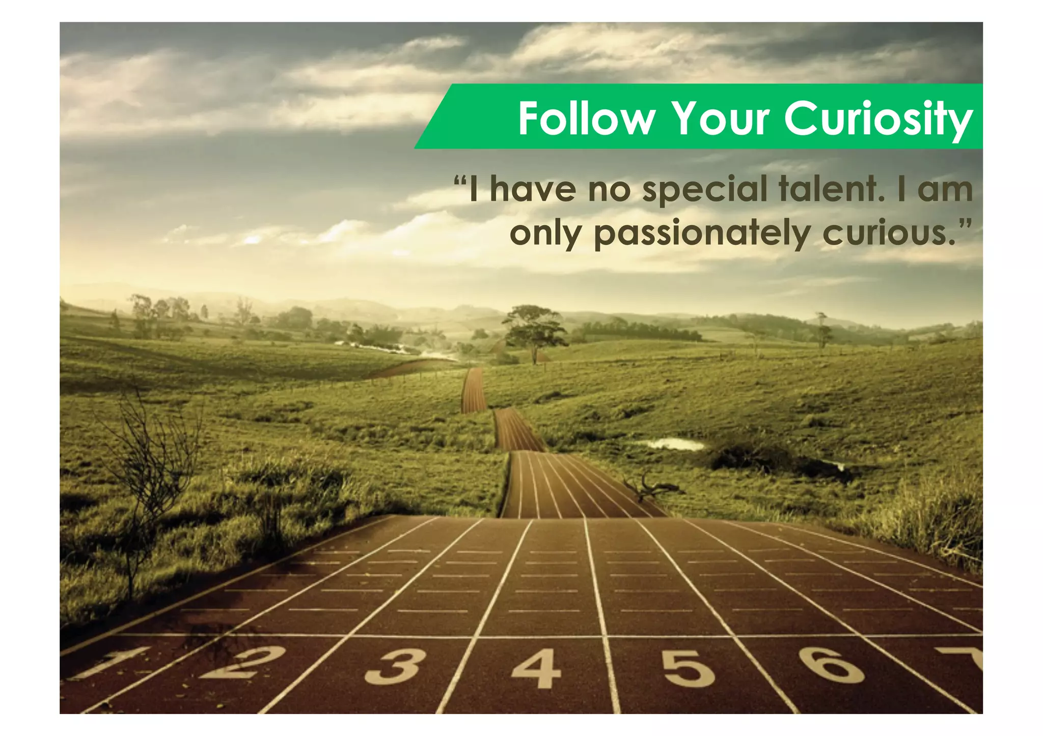 Follow Your Curiosity
“I have no special talent. I am
only passionately curious.”