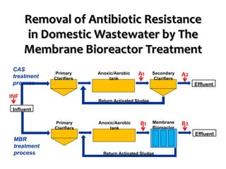 Surveillance and Risk Assessment of Antibiotic Resistance in the Urban ...