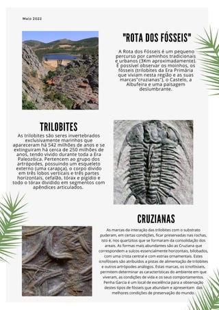 "ROTA DOS FÓSSEIS"
Maio 2022 

CRUZIANAS
As marcas da interação das trilobites com o substrato
puderam, em certas condições, ficar preservadas nas rochas,
isto é, nos quartzitos que se formaram da consolidação dos
areais. As formas mais abundantes são as Cruziana que
correspondem a sulcos essencialmente horizontais, bilobados,
com uma crista central e com estrias ornamentais. Estes
icnofósseis são atribuídos a pistas de alimentação de trilobites
e outros artrópodes análogos. Estas marcas, os icnofósseis,
permitem determinar as características do ambiente em que
viveram, as condições de vida e os seus comportamentos.
Penha Garcia é um local de excelência para a observação
destes tipos de fósseis que abundam e apresentam das
melhores condições de preservação do mundo.
A Rota dos Fósseis é um pequeno
percurso por caminhos tradicionais
e urbanos (3Km aproximadamente).
É possível observar os moinhos, os
fósseis (trilobites da Era Primária
que viviam nesta região e as suas
marcas"cruzianas"), o Castelo, a
Albufeira e uma paisagem
deslumbrante.
TRILOBITES
As trilobites são seres invertebrados
exclusivamente marinhos que
apareceram há 542 milhões de anos e se
extinguiram há cerca de 250 milhões de
anos, tendo vivido durante toda a Era
Paleozóica. Pertencem ao grupo dos
artrópodes, possuindo um esqueleto
externo (uma carapça), o corpo divido
em três lobos verticais e três partes
horizontais, cefalão, tórax e pigídio e
todo o tórax dividido em segmentos com
apêndices articulados.
 