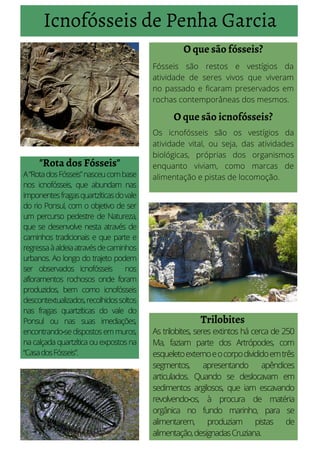 Icnofósseis de Penha Garcia
O que são fósseis?
Fósseis são restos e vestígios da
atividade de seres vivos que viveram
no passado e ficaram preservados em
rochas contemporâneas dos mesmos.
O que são icnofósseis?
Os icnofósseis são os vestígios da
atividade vital, ou seja, das atividades
biológicas, próprias dos organismos
enquanto viviam, como marcas de
alimentação e pistas de locomoção.
"Rota dos Fósseis"
A“RotadosFósseis”nasceucombase
nos icnofósseis, que abundam nas
imponentesfragasquartzíticasdovale
do rio Ponsul, com o objetivo de ser
um percurso pedestre de Natureza,
que se desenvolve nesta através de
caminhos tradicionais e que parte e
regressaàaldeiaatravésdecaminhos
urbanos. Ao longo do trajeto podem
ser observados icnofósseis nos
afloramentos rochosos onde foram
produzidos, bem como icnofósseis
descontextualizados,recolhidossoltos
nas fragas quartzíticas do vale do
Ponsul ou nas suas imediações,
encontrando‐sedispostosemmuros,
na calçada quartzítica ou expostos na
“CasadosFósseis”.
Trilobites
As trilobites, seres extintos há cerca de 250
Ma, faziam parte dos Artrópodes, com
esqueletoexternoeocorpodivididoemtrês
segmentos, apresentando apêndices
articulados. Quando se deslocavam em
sedimentos argilosos, que iam escavando
revolvendo‐os, à procura de matéria
orgânica no fundo marinho, para se
alimentarem, produziam pistas de
alimentação,designadasCruziana.
 