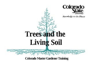 Colorado Master Gardener Training Trees and the  Living Soil 