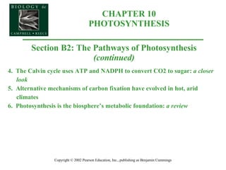 CHAPTER 10 PHOTOSYNTHESIS Copyright © 2002 Pearson Education, Inc., publishing as Benjamin Cummings Section B2: The Pathways of Photosynthesis (continued) 4.  The Calvin cycle uses ATP and NADPH to convert CO2 to sugar:  a closer look 5.  Alternative mechanisms of carbon fixation have evolved in hot, arid climates 6.  Photosynthesis is the biosphere’s metabolic foundation:  a review 