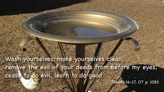 Text
Wash yourselves; make yourselves clean;
remove the evil of your deeds from before my eyes;
cease to do evil, learn to do good
Isaiah1:16-17, OT p. 1083
 
