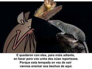 E quedaron con eles, para máis adiante,
en facer para vos unha das súas reportaxes.
Porque esta tempada en vez de saír
vannos ensinar aos bechos de aquí.
 